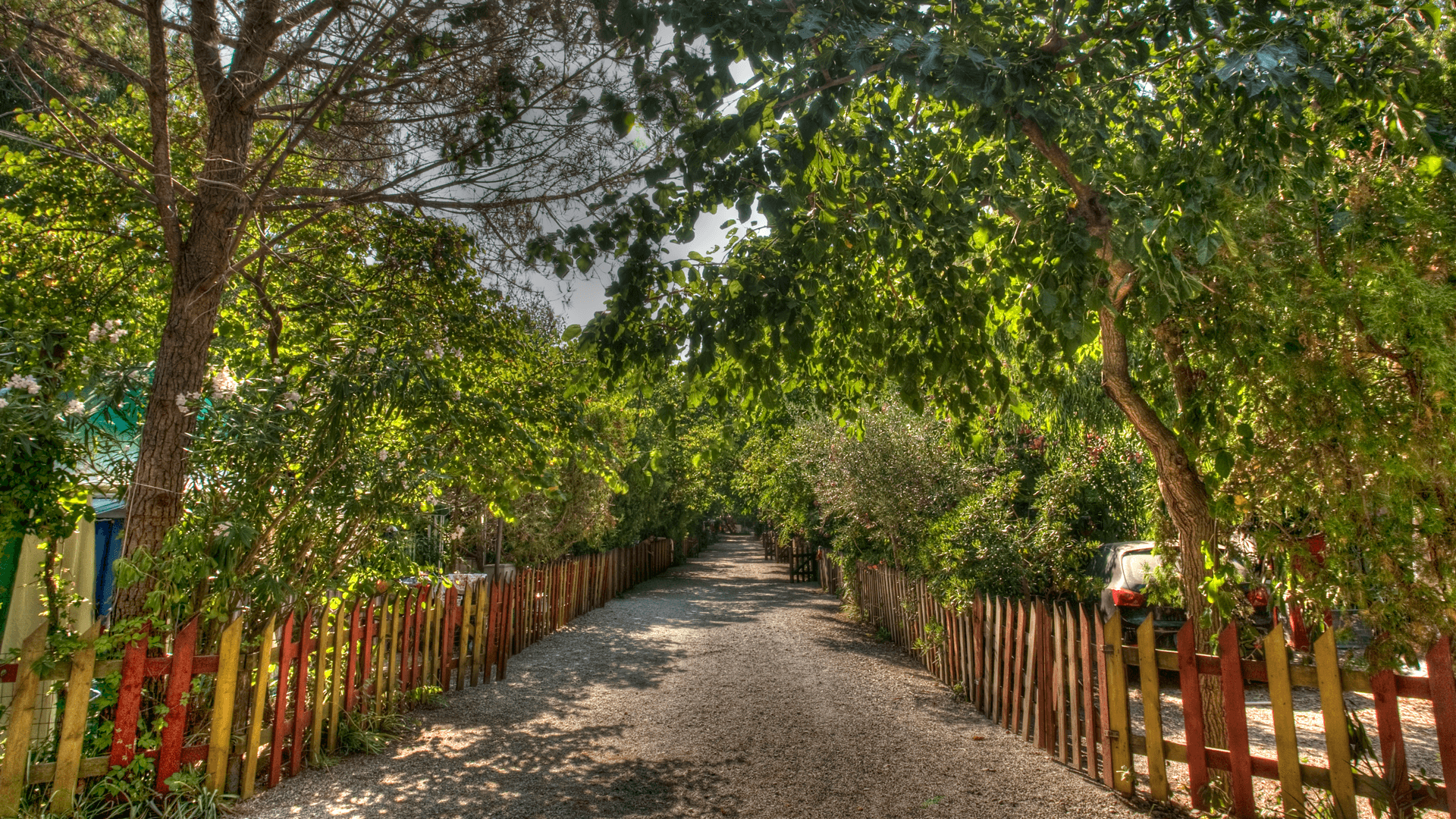 Camping La Foce dei Tramonti — photo 2